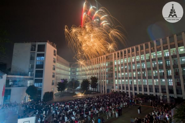 PH&Aacute;O HOA BỪNG S&Aacute;NG, CẢM X&Uacute;C NGẬP TR&Agrave;N