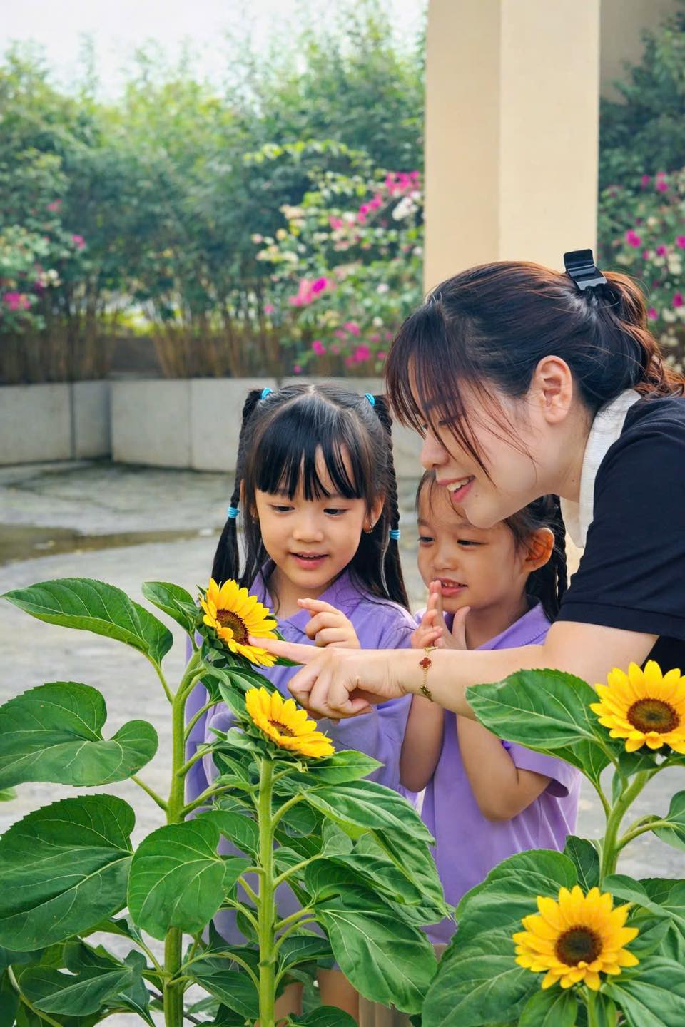 hoa-huong-duong-4