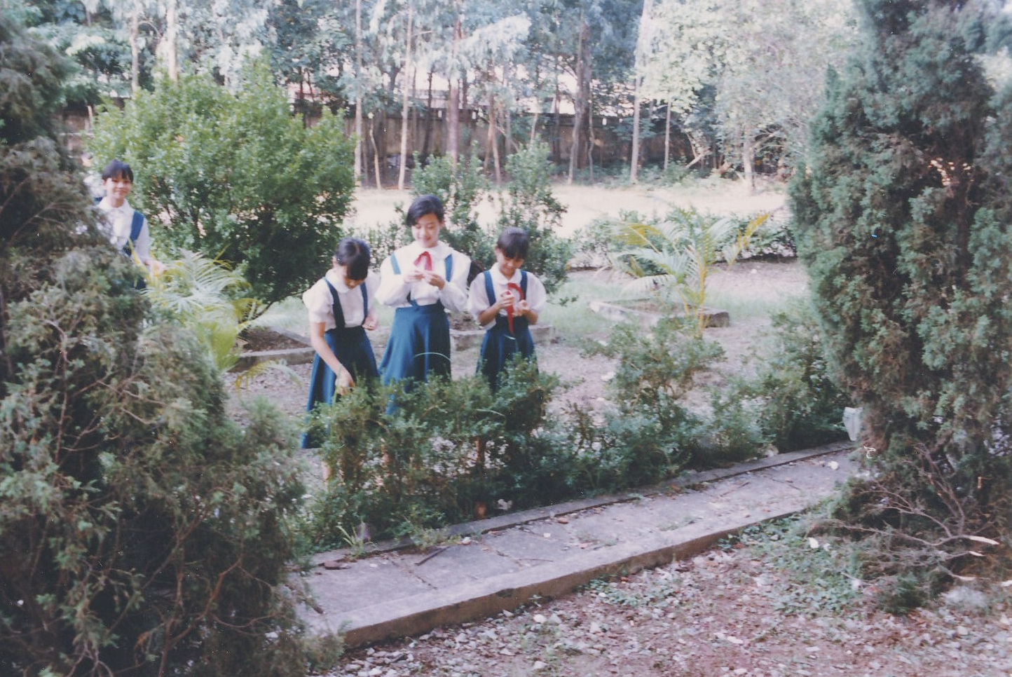 noitru-10