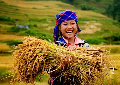 phu-nu-today-mua-gat-9 Nụ cưá»i ÄÆ°á»£c mùa.
