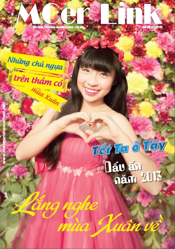 vn-linh8